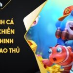 Vua Đánh Cá Thabet Chiến Thuật Chinh Phục Từ Cao Thủ